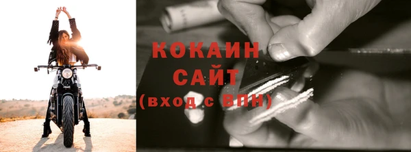 молекула духа Балахна