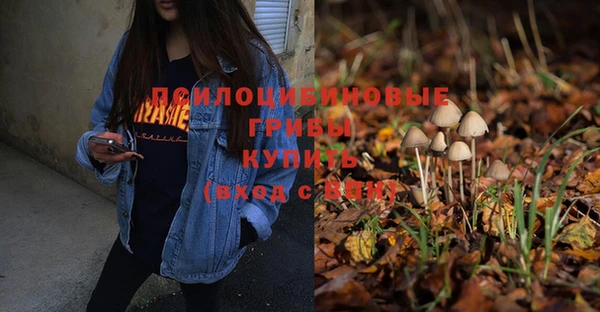 молекула духа Балахна