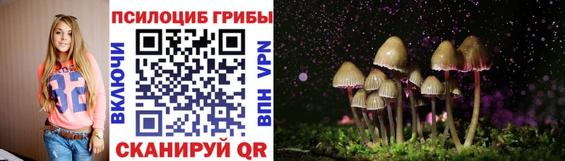 Псилоцибиновые грибы MAGIC MUSHROOMS Горячий Ключ